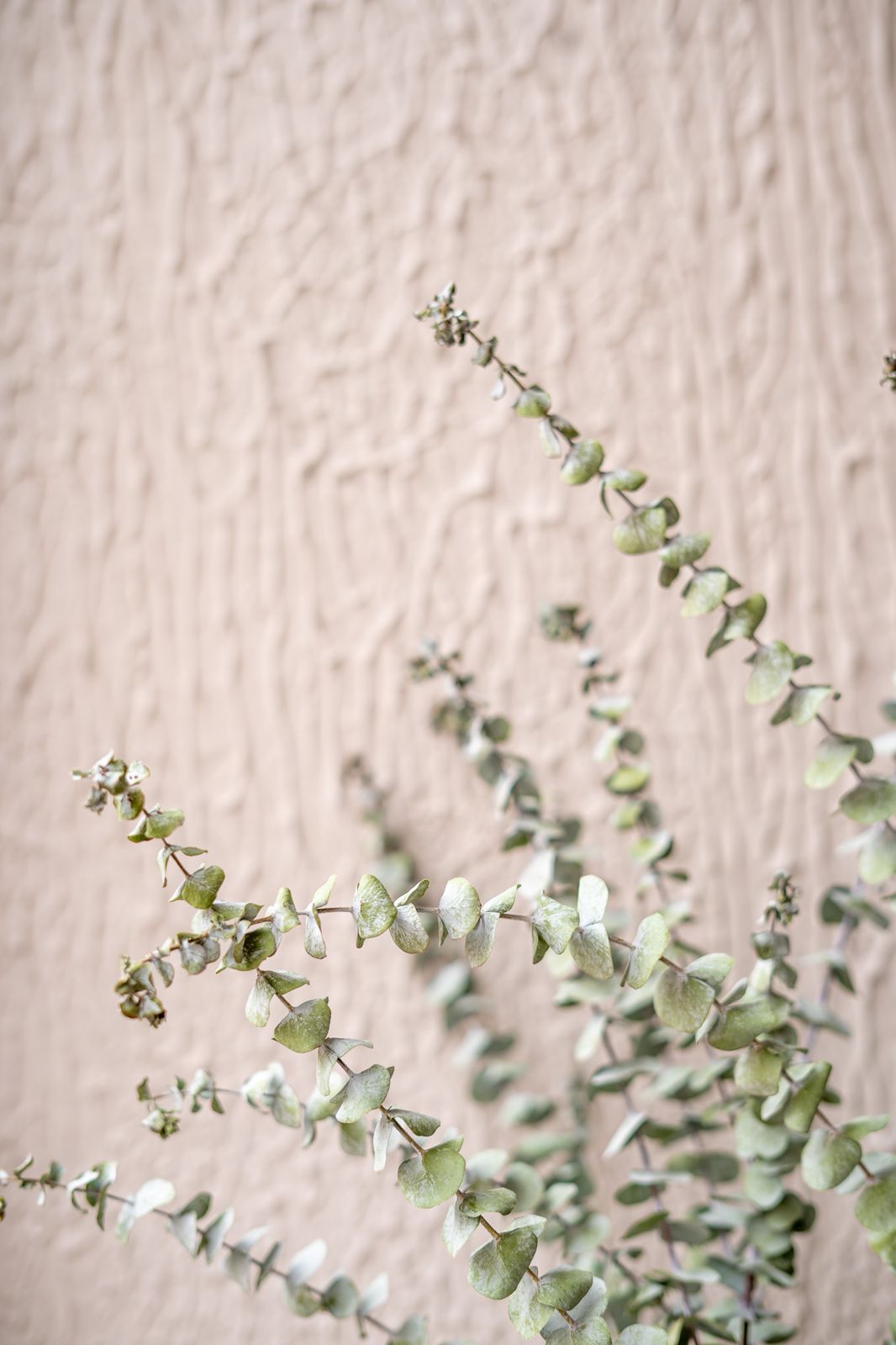 Tratamiento profesional en Chanel Spa